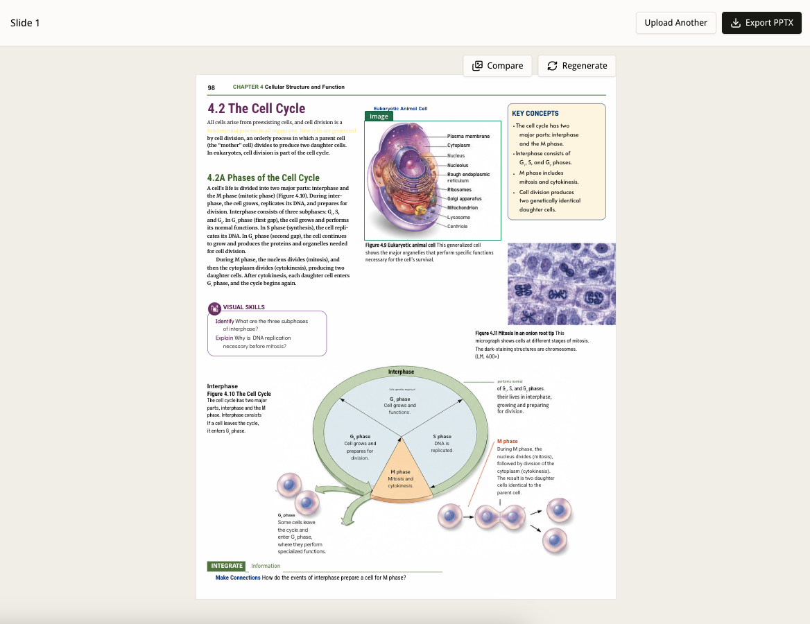 SlideRebuild preview showing the reconstructed textbook page and editable regions